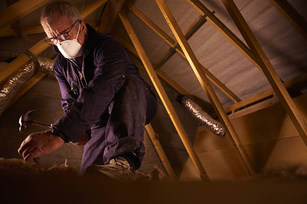 Best Insulation Maintenance and Repair in St Joseph, IL